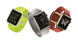 Developers can now start working on Apple Watch-specific apps.