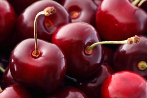 The positive experience of the 2013 cherry season encouraged Chelan Fresh to expand its adoption of FileMaker.